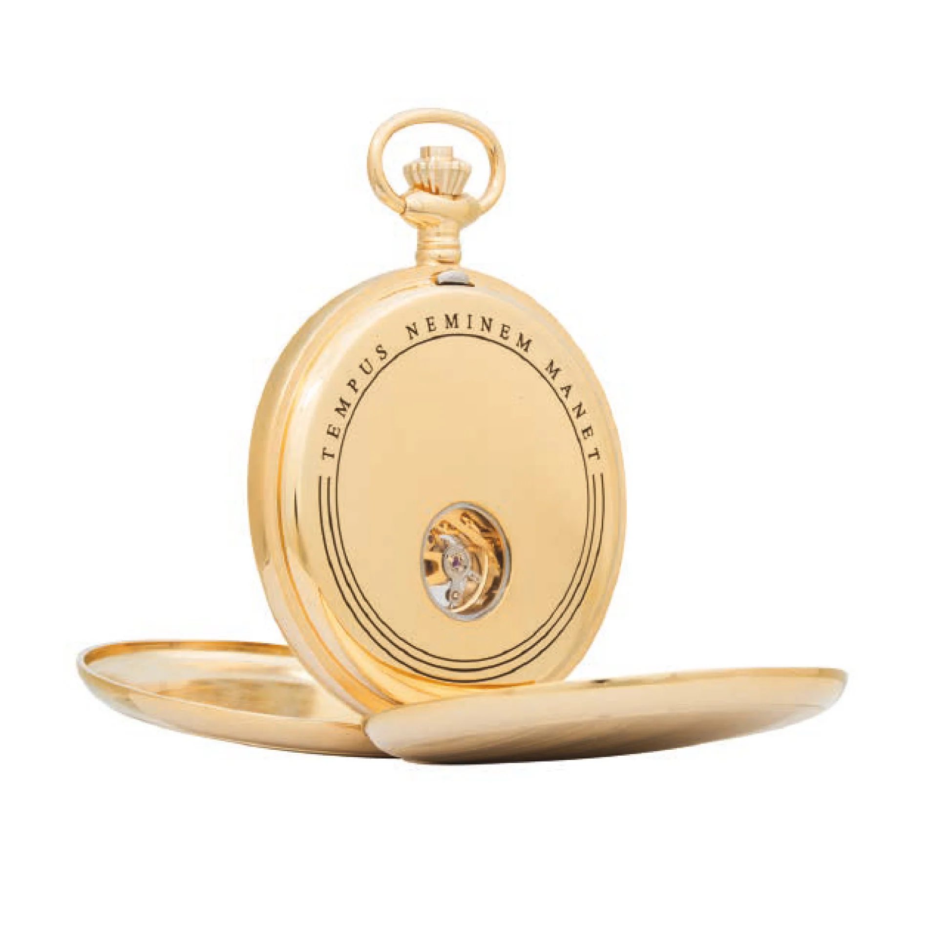 TEMPUS - Image 3